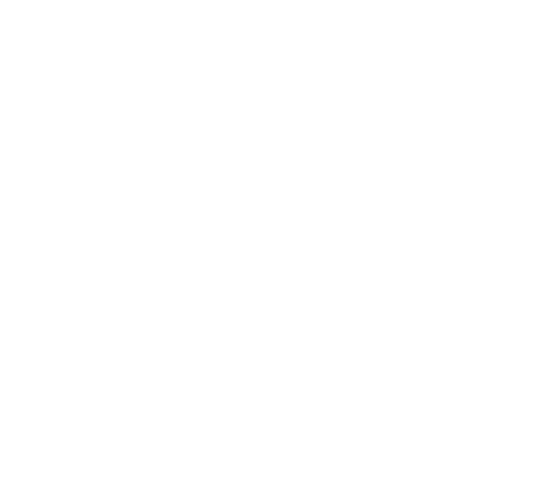 Chef Stan