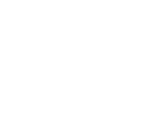 i'Pinguini