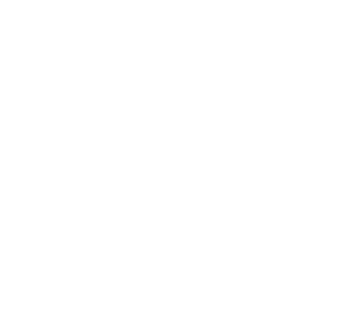 Les Bidules de Choupi