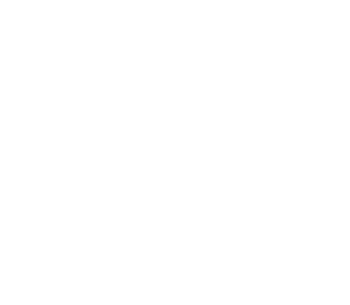 TSV Forma