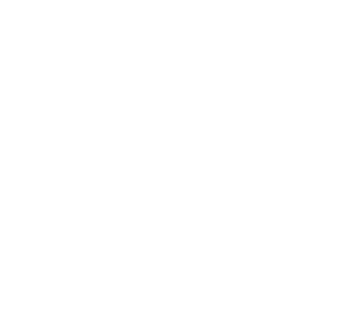 Voyag Inspire
